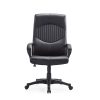 Black Adjustable Alpha Leather chair with armrests