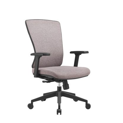 Alpha office chair with adjustable lumbar support