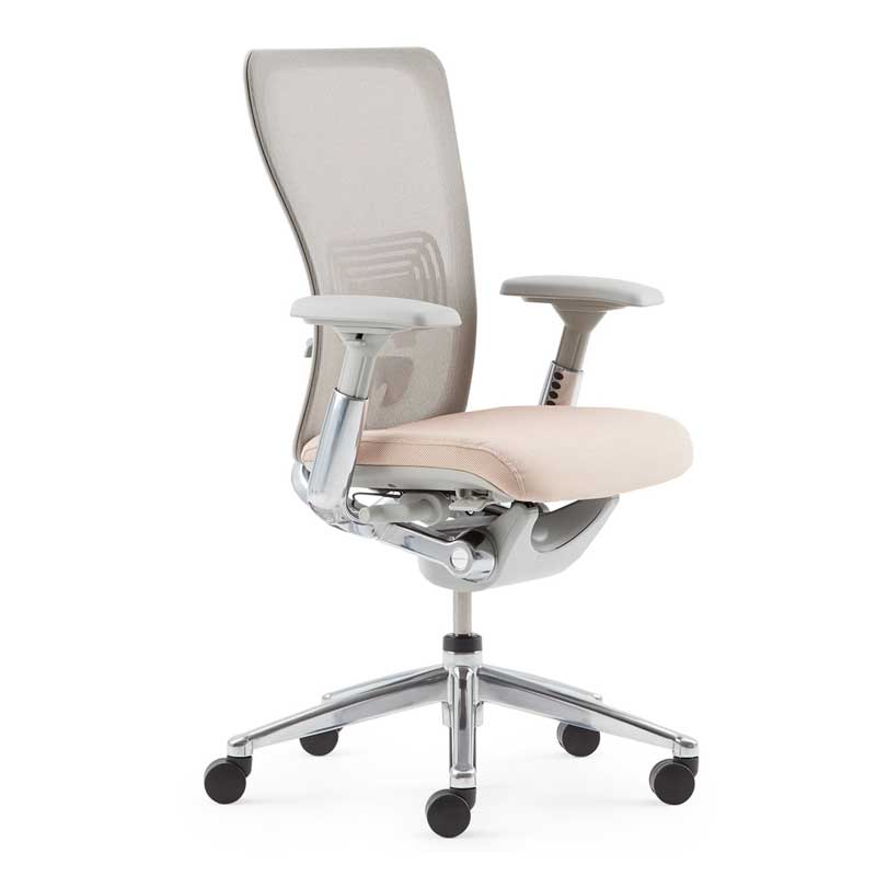 Zody-1 A zody chair featuring a patented Pelvic and Asymmetrical Lumbar (PAL) back system by Alpha