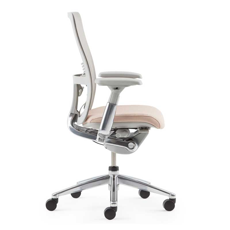 Zody-2 A zody chair featuring a patented Pelvic and Asymmetrical Lumbar (PAL) back system by Alpha
